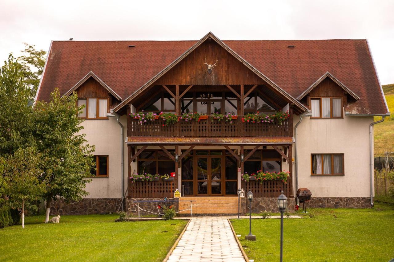 Pensiunea Sachsenhof Bagaciu Екстер'єр фото